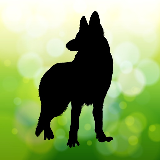 Name That Dog Breed! icon