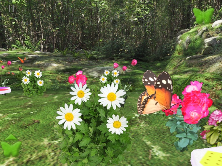 Butterfly Garden HD for iPad