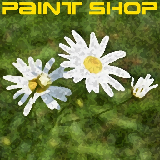 Paint Shop icon