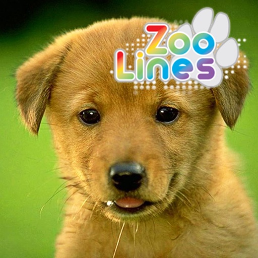 Zoo Lines Icon