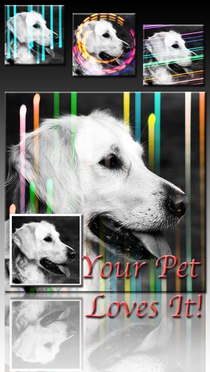 Fotocam Light Pro - Photo Effect for Instagram screenshot-4
