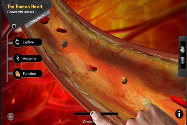 Explore the Heart in 3d(圖3)-速報App