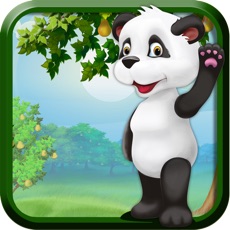 Activities of Panda Pear Forest