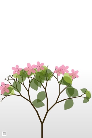 Flowerium.のおすすめ画像3