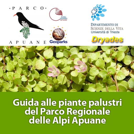 Guida alle piante palustri del Parco Regionale delle Alpi Apuane icon