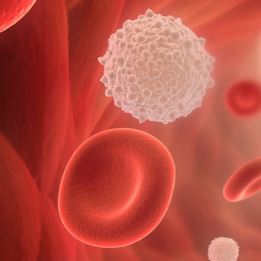 iHematology