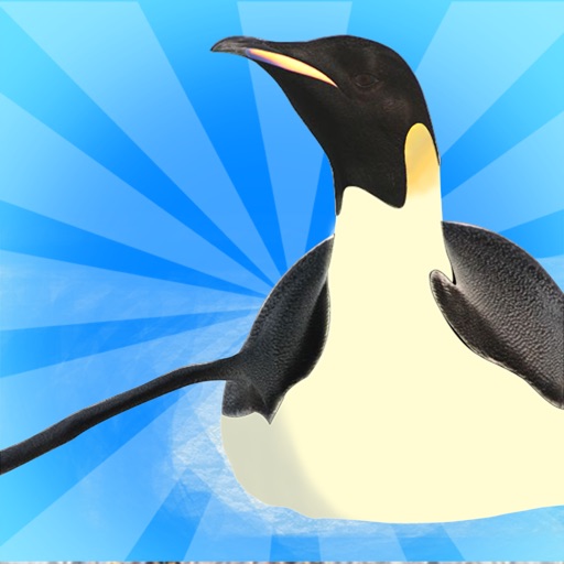 Penguin Glide Racing : The North Pole Cold Winter Race - Free Edition