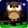 Angry Owl!
