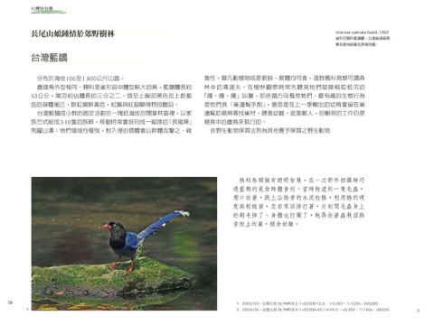 Avian Treasures:Unique Birds Of Taiwan, 1.0 Lite screenshot 3
