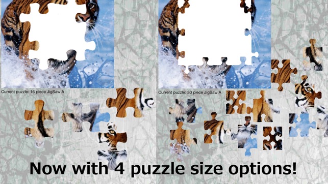 Photo JigSaw Puzzle Free Version