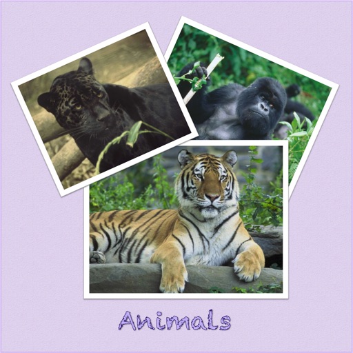 Animal picture book with sounds for kids iOS App