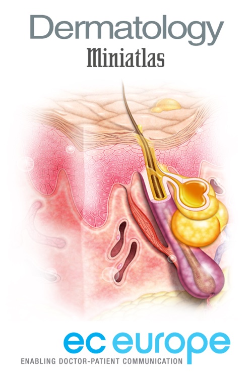 Miniatlas Dermatology