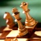 Chess for the iPad is a new application that turns your iPad into a realistic Chess board