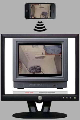 Surveillance Camera screenshot 2