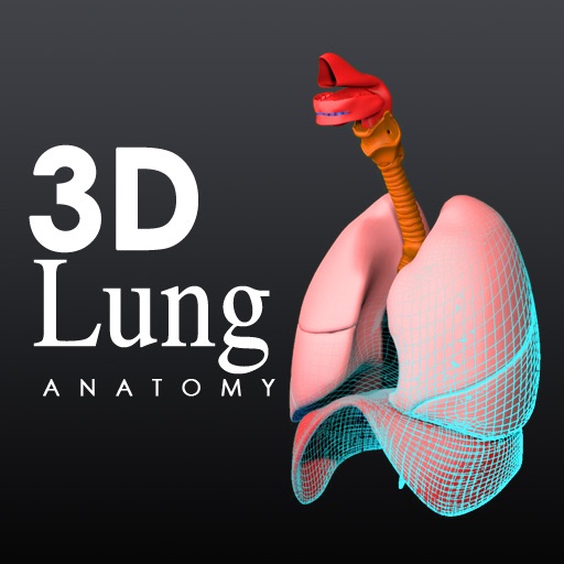 3D Respiratory System icon