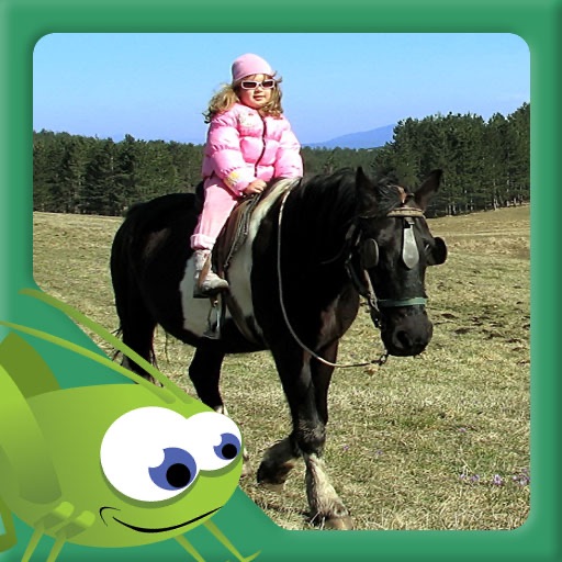 2nd Grade Reading - I Like Horses iOS App