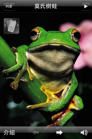 蛙蛙叫 screenshot 4