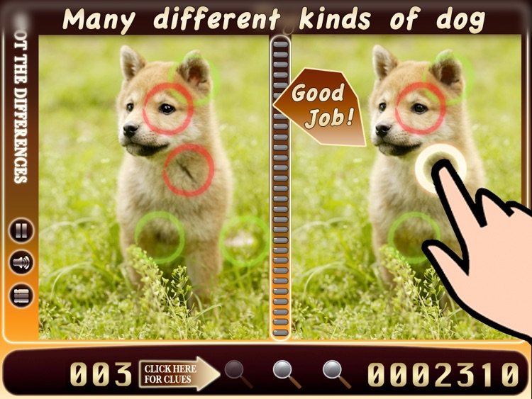 Spot The Difference HD - dogs Lite screenshot-3