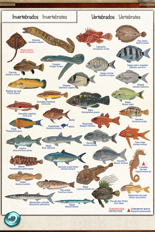 Marine Species