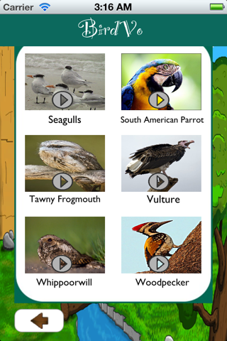 Birds Sounds App ~ BirdVo ~ Bird Voices screenshot 4