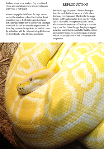 Snakes Magazine screenshot 4