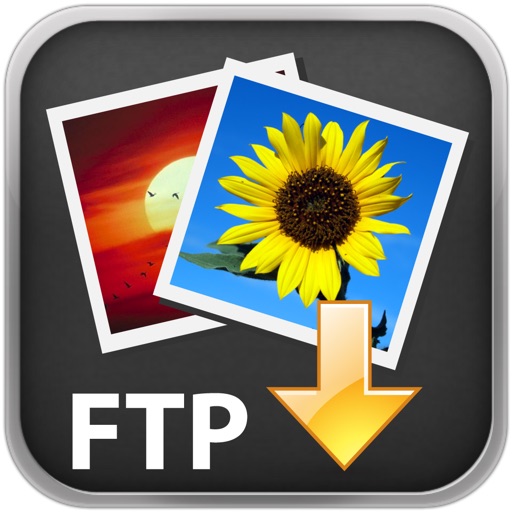 FTP Media Server icon