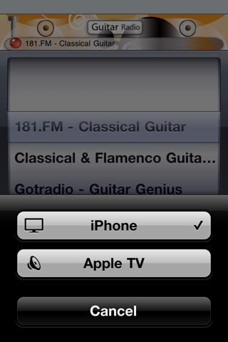 Guitar Radio screenshot 2