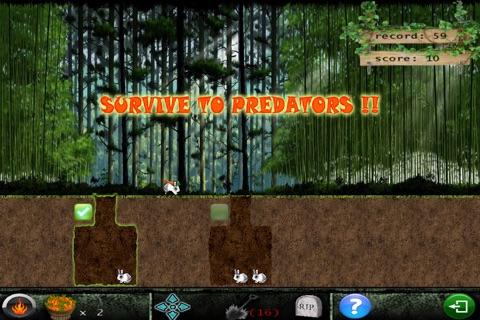 Wild Rabbit screenshot 2