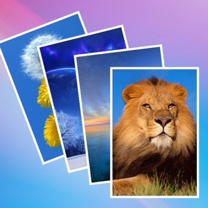 30,000+ Wallpapers Free download