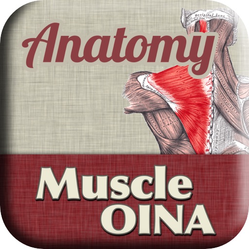 Anatomy - Muscle OINA icon