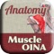Master your Muscle OINA