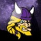Support your Minnesota Vikings with this great app