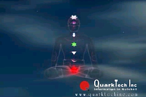 Yoga at Home: Videos for Beginners screenshot-3