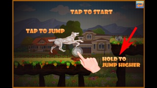 A Dog Run Adventure: Best Super Fun Doge Race Game Free 1.1 IOS -