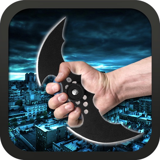 Bat Boomerang Free for iPad icon