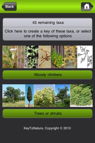 An interactive guide to the woody plants of the Majella National Park (C Italy) screenshot 4