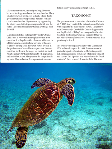Turtle Magazineのおすすめ画像3