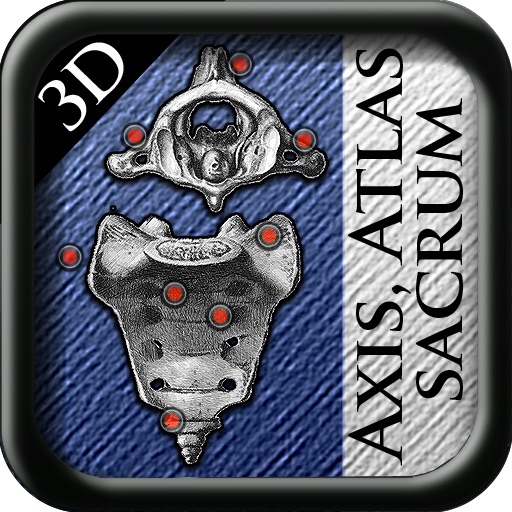 Axis Atlas and Sacrum 3D icon