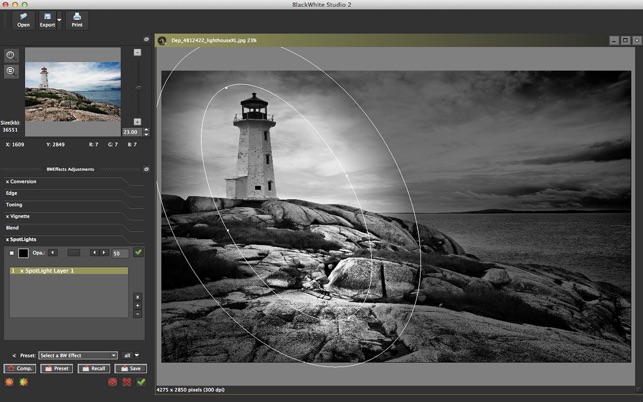 BlackWhite Studio 2 - Professional Tool for Black&White Phot(圖4)-速報App