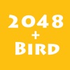 2048_Bird