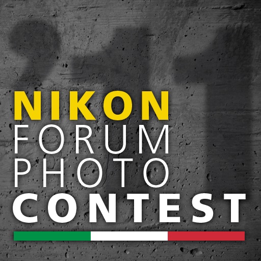 Nikon Forum Photo Contest - 2011