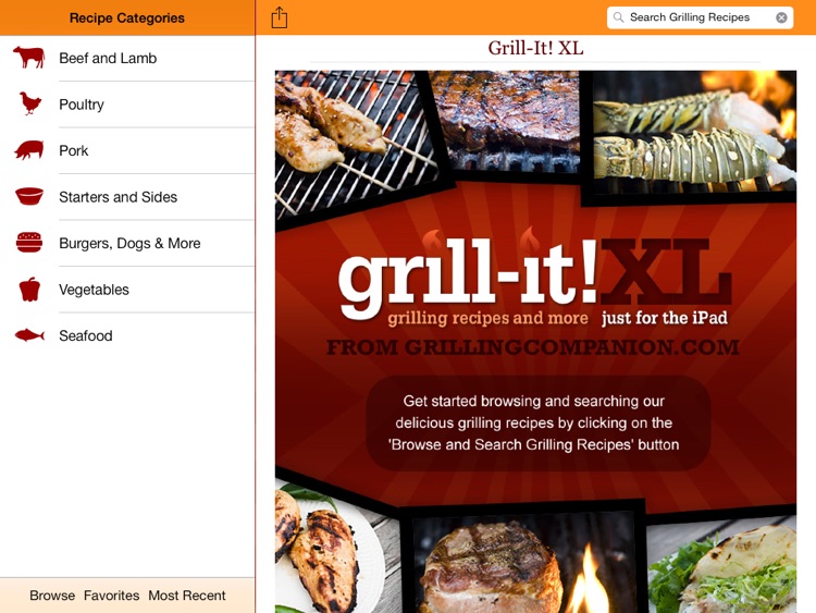 Grill-It! XL - Recipes for the Grill