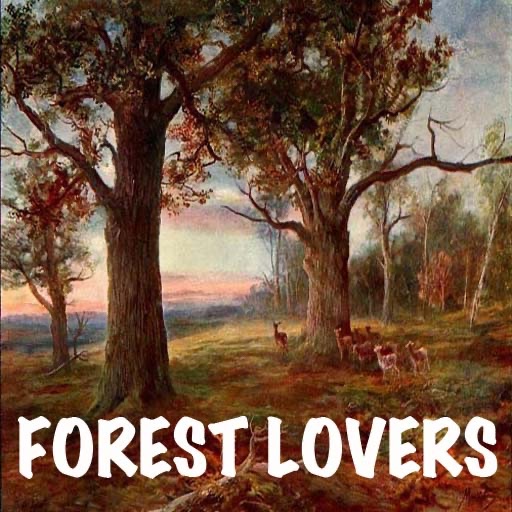 Forest Lovers icon