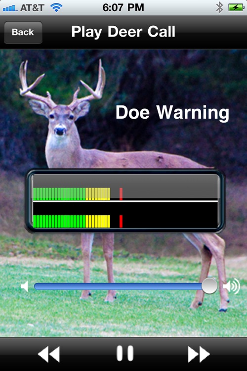 Pro Deer Calls