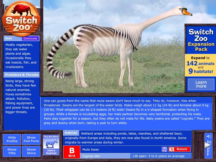 Switch Zoo Free screenshot-3