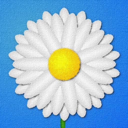 Daisy Chains