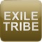 EXILE TRIBEとは、EXILE、そしてLDHが発信していく、新しいエンタテインメントブランド