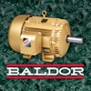 BE$T - Baldor Energy $avings Tool