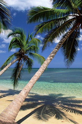 Nature Wallpapers Free screenshot-3