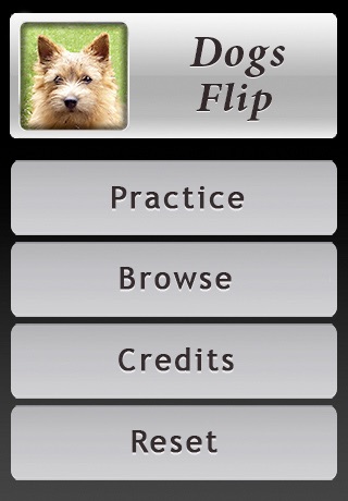 Dogs Flip: Flashcards of Dog Breeds screenshot 4